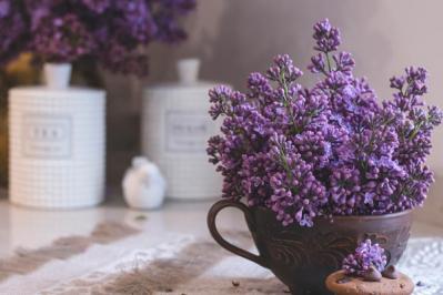 【秋の快眠術】着替えるだけでよく眠れるようになる服とは？（サムネイル画像2）