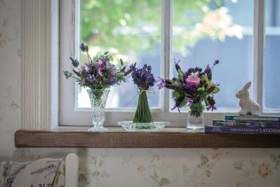 【ガーデニング】育てて楽しいハーブ【ラヴェンダー】の栽培方法と活用アイデア2選（サムネイル画像5）