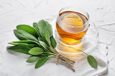 秋の庭を彩る多年草【サルビア】6選！ナチュラルでワイルドなガーデニングのコツ（サムネイル画像3）