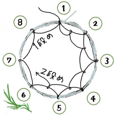 【ガーデニング】魚料理と相性バツグン！多年草ハーブ【フェンネル】の栽培方法と活用アイデア3選（サムネイル画像8）