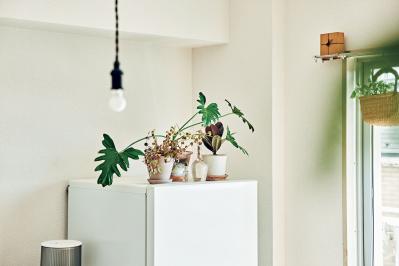 【大人のひとり暮らし】郊外に越して、老後の貯蓄に。2匹の猫と暮らす。イラストレーター柿崎こうこさん（サムネイル画像5）