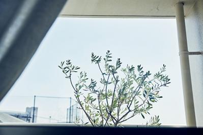 大人のひとり暮らし【後編】用途ごとに部屋を使い分けてメリハリを！イラストレーター柿崎こうこさん（サムネイル画像6）