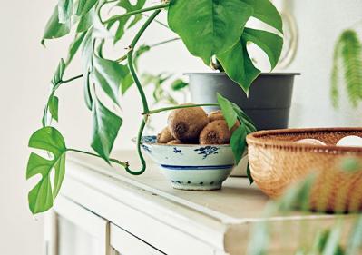 大人のひとり暮らし【後編】用途ごとに部屋を使い分けてメリハリを！イラストレーター柿崎こうこさん（サムネイル画像8）