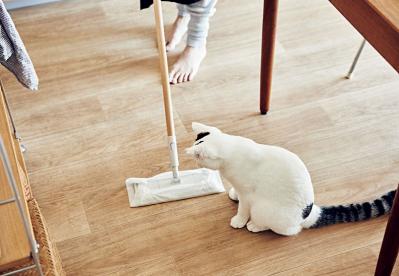 大人のひとり暮らし【後編】用途ごとに部屋を使い分けてメリハリを！イラストレーター柿崎こうこさん（サムネイル画像17）