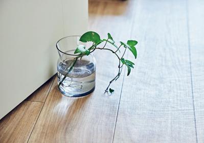 大人のひとり暮らし【後編】用途ごとに部屋を使い分けてメリハリを！イラストレーター柿崎こうこさん（サムネイル画像2）