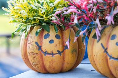 【ハロウィン特集】秋の草花と観賞用カボチャで玄関を彩る簡単ガーデニング（サムネイル画像5）