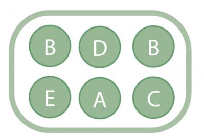 ニュアンスカラーの花を春まで楽しむ「アネモネ＆パンジー・ビオラ」の寄せ植え【ガーデニング】（サムネイル画像5）