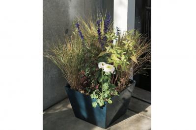 【ガーデニング】草姿と花で一年中楽しめる「宿根草」のロングライフ寄せ植え