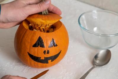 【ハロウィン特集】秋の草花と観賞用カボチャで玄関を彩る簡単ガーデニング（サムネイル画像7）