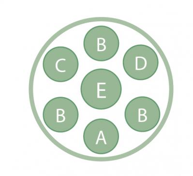 春まで長く花を楽しめる！「アネモネ＆ラナンキュラス」の寄せ植え 【ガーデニング】（サムネイル画像3）