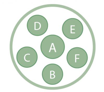 数年植えっぱなしでOK！「宿根草・常緑樹」のロングライフ寄せ植え【ガーデニング】（サムネイル画像3）