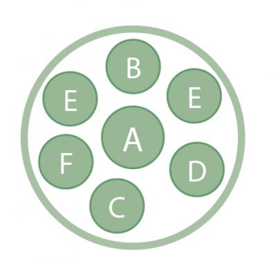 ニュアンスカラーの花を春まで楽しむ「アネモネ＆パンジー・ビオラ」の寄せ植え【ガーデニング】（サムネイル画像3）