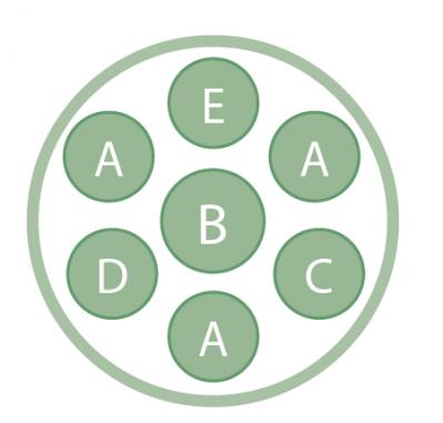 草姿と花で一年中楽しめる！「宿根草」のロングライフ寄せ植え【ガーデニング】（サムネイル画像3）