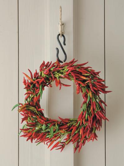 【ガーデニング】料理はもちろんクラフトに使っても楽しいハーブ【トウガラシ】の栽培方法と活用アイデア3選（サムネイル画像6）