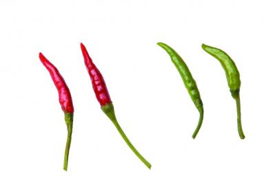 【ガーデニング】料理はもちろんクラフトに使っても楽しいハーブ【トウガラシ】の栽培方法と活用アイデア3選（サムネイル画像3）