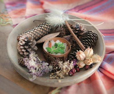 【ガーデニング】育てて楽しい多年草ハーブ【オレガノ】の栽培方法と活用アイデア2選（サムネイル画像7）