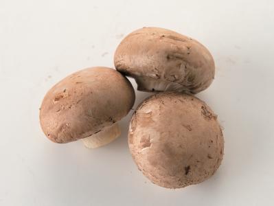 秋に食べたい【きのこ×肉の主菜】3選「肉団子の中華煮」「里いものシチュー」「手羽の素揚げ」（サムネイル画像5）