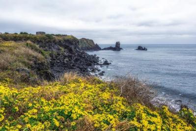 「オールイン」を久々に一気見！イナ（イ・ビョンホン）が命を賭けたラストにしびれる17〜24話【韓国ドラマ】（サムネイル画像2）