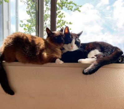 ［後編］青木さやかさん50歳。「亡くなる前の3カ月で嫌いだった母とようやく仲直りできた」（サムネイル画像5）