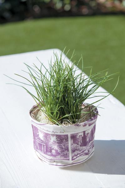 【ガーデニング】貴重なスパイスだからこそ自分で育てたいハーブ【サフラン】の栽培方法と活用アイデア3選（サムネイル画像4）