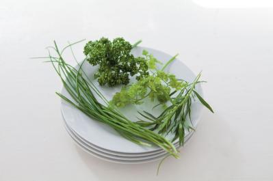 【ガーデニング】料理をぐんと格上げする多年草ハーブ【タラゴン】の栽培方法と活用アイデア3選（サムネイル画像7）