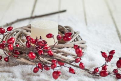 【ガーデニング】秋バラを終えると、ローズヒップが実る季節！赤やオレンジで庭を彩る（サムネイル画像3）