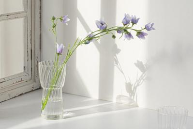 熟年離婚で“夫の年金の半分がもらえる”は誤解！3号分割と合意分割を知っておこう【井戸美枝さんがアドバイス】（サムネイル画像3）