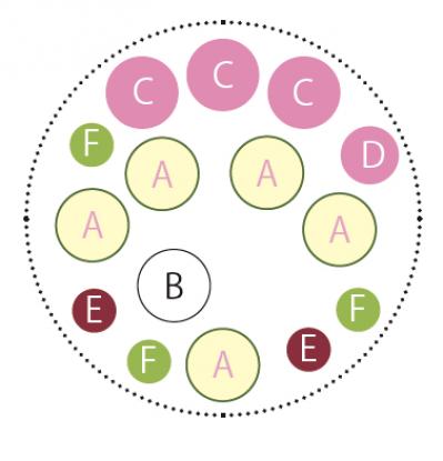 冬から晩春まで長く楽しめる「ミニハボタン」の寄せ植え【ガーデニング】（サムネイル画像7）