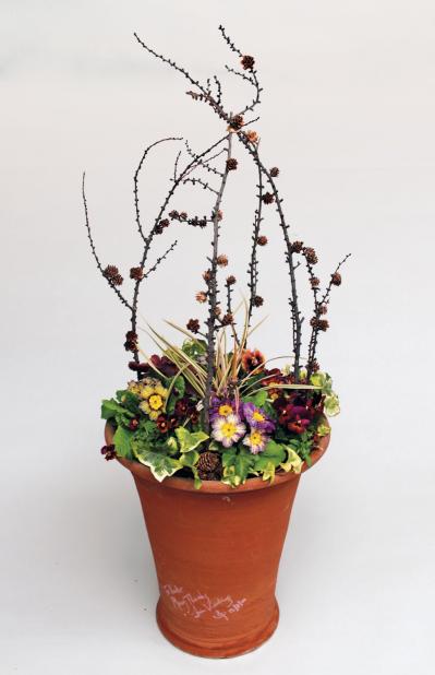 カラフルな花が晩春まで繰り返し咲く「プリムラ」の寄せ植え【ガーデニング】（サムネイル画像2）