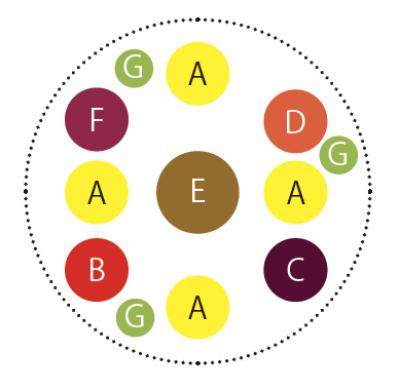 カラフルな花が晩春まで繰り返し咲く「プリムラ」の寄せ植え【ガーデニング】（サムネイル画像3）