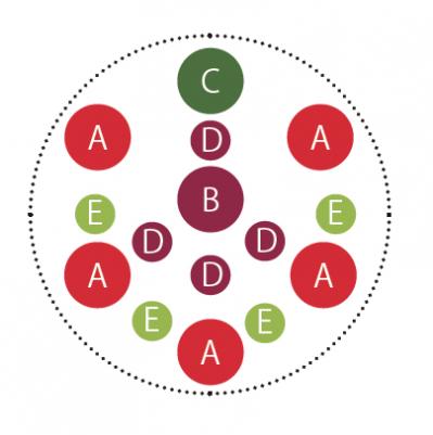 ローメンテナンスで春まで長く楽しめる「ガーデンシクラメン」の寄せ植え【ガーデニング】（サムネイル画像5）