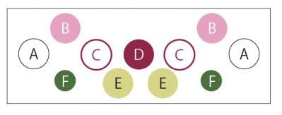 ローメンテナンスで春まで長く楽しめる「ガーデンシクラメン」の寄せ植え【ガーデニング】（サムネイル画像3）