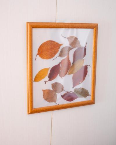 年金5万円でやりくりする紫苑さん・72歳。お金をかけずに住まいを心地よくするDYIを拝見！（サムネイル画像2）