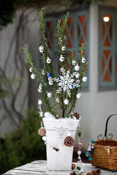 室内が華やぐ！【ローズマリーのクリスマスツリー】ハーブの香りで癒やしの効果も（サムネイル画像2）