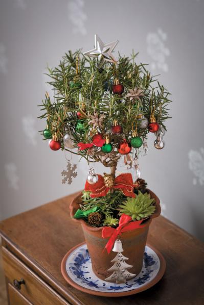 室内が華やぐ！【ローズマリーのクリスマスツリー】ハーブの香りで癒やしの効果も（サムネイル画像4）