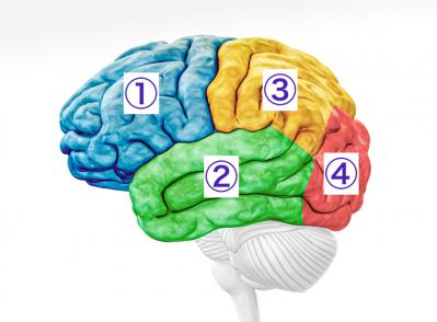 【和田秀樹さんが提言】暴走老人と呼ばれないために、鍛えるべき箇所とは？（サムネイル画像3）