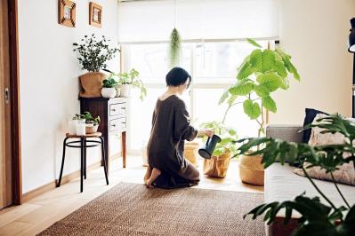 【大人のひとり暮らし】賃貸アパートを植物と家具で好みの空間にして楽しむ、インスタグラマー ようさん