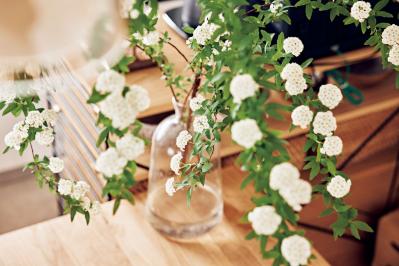 【大人のひとり暮らし】賃貸アパートを植物と家具で好みの空間にして楽しむ、インスタグラマー ようさん（サムネイル画像6）