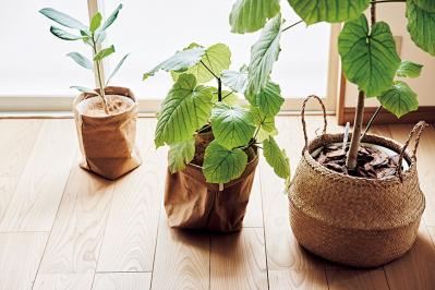 大人のひとり暮らし【後編】軽トラ2台分の捨て活を経て、最小限のもので暮らすインスタグラマー ようさん（サムネイル画像7）