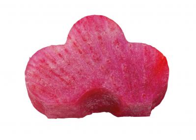 【大人かわいい飾り切り】新年の食卓を華やかに彩る「お正月プレート」（サムネイル画像16）