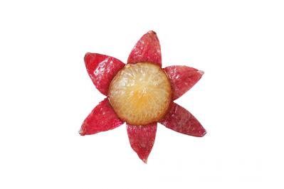 【大人かわいい飾り切り】食べるのがもったいないほどキュートな「フルーツボックス」（サムネイル画像8）