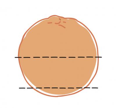 【大人かわいい飾り切り】食べるのがもったいないほどキュートな「フルーツボックス」（サムネイル画像5）