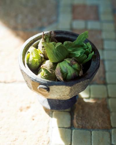 「お金がないから、買うのはお肉くらいです」元ミス日本 伊藤千桃さん70代の心豊かな暮らし方【2024年お金部門TOP10】（サムネイル画像4）