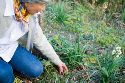 「お金がないから、買うのはお肉くらいです」元ミス日本 伊藤千桃さん70代の心豊かな暮らし方【2024年お金部門TOP10】（サムネイル画像2）