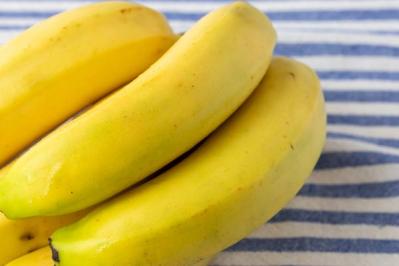 「ヨーグルトは毎日違う銘柄を食べるといい」はホント？免疫力を上げる【腸活】ウソorホント10問（サムネイル画像3）