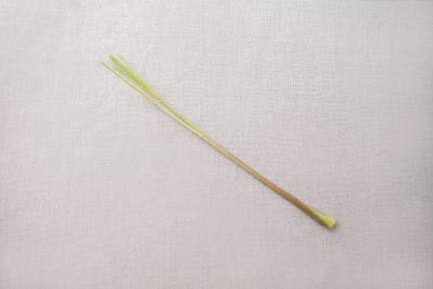 正月飾りにも活用できるハーブ【レモングラス】の栽培方法と活用アイデア2選【ガーデニング】（サムネイル画像5）