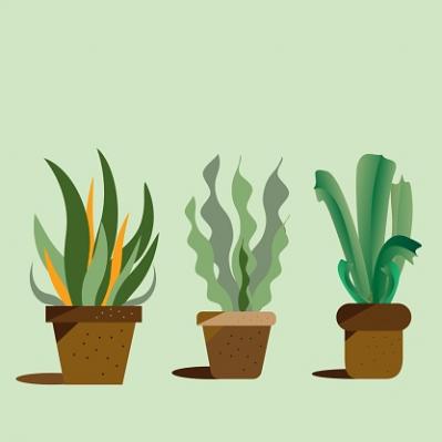 【2024年上半期の運勢】12星座別 山田ありすのHAPPY占い【獅子座】（サムネイル画像3）