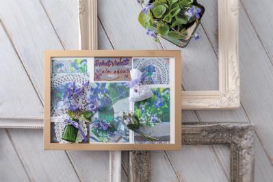 【ガーデニング】育てて楽しい多年草ハーブ【スイートバイオレット】の栽培方法と活用アイデア2選（サムネイル画像6）