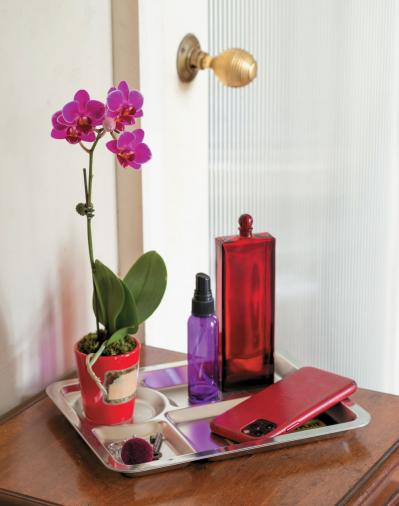 【洋ラン】植え替えずにOK！ 部屋が華やぐ吉谷桂子さん流の飾り方【冬に咲く花】（サムネイル画像5）