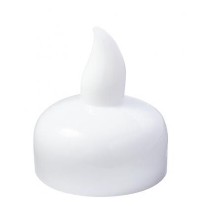 【洋ラン】相性のよいシダ植物との寄せ植え＆寄せ置きでより魅力的！（サムネイル画像4）